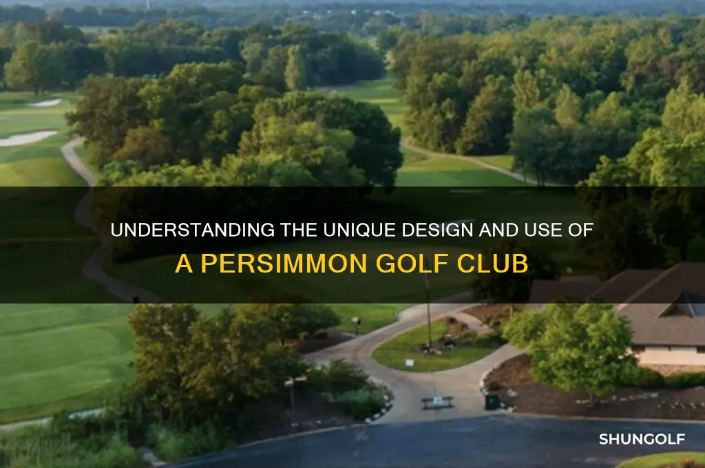 what is a persimmon golf club