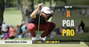PGA Pros: Golf's Ultimate Experts