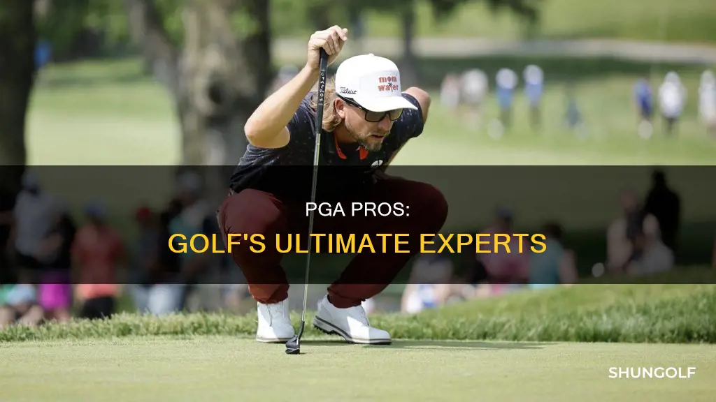 what is a pga pro