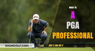 PGA Pros: Skilled Teachers, Golf's Ambassadors