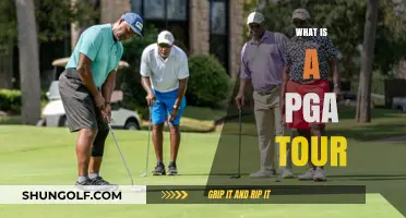 PGA Tour: The Ultimate Golfing Experience
