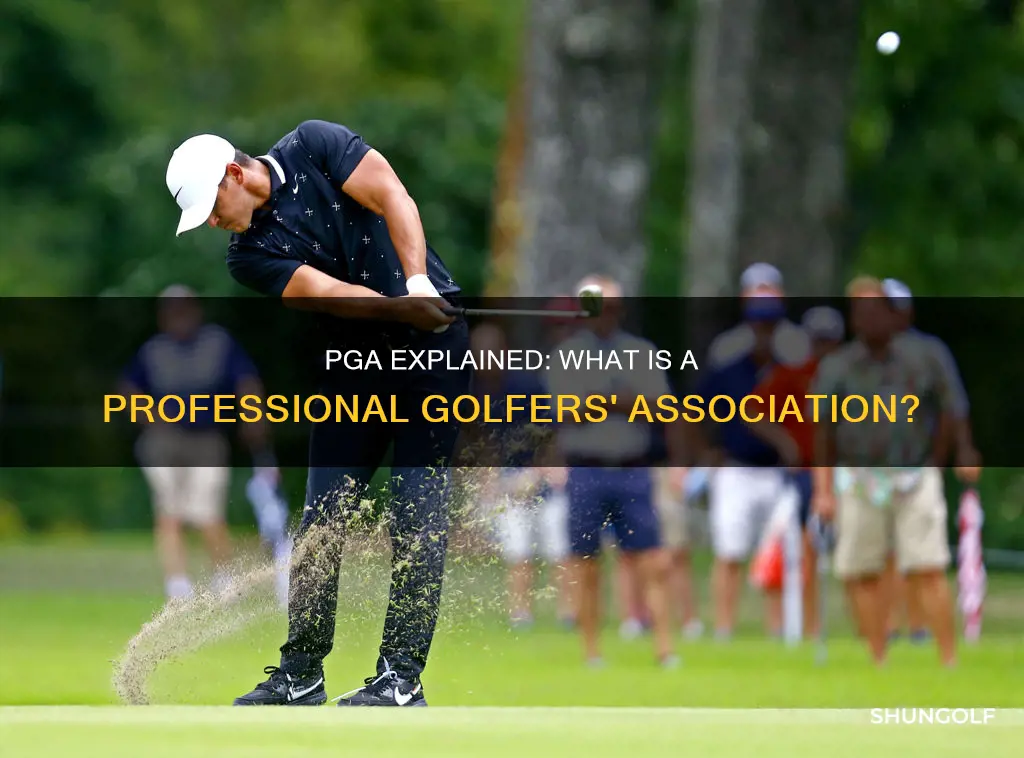 what is a pga