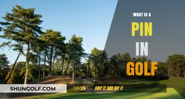 Golf's Pin: What It Is and Why It Matters