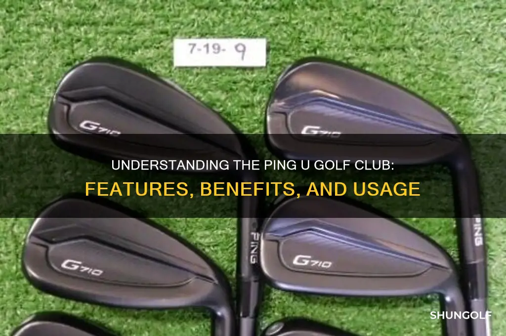 what is a ping u golf club