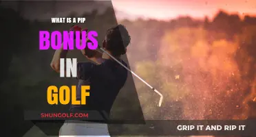Understanding the Pip Bonus: A Unique Golf Scoring Incentive