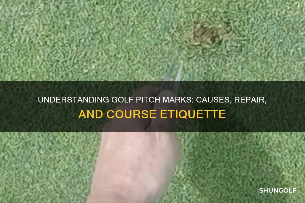 what is a pitch mark in golf