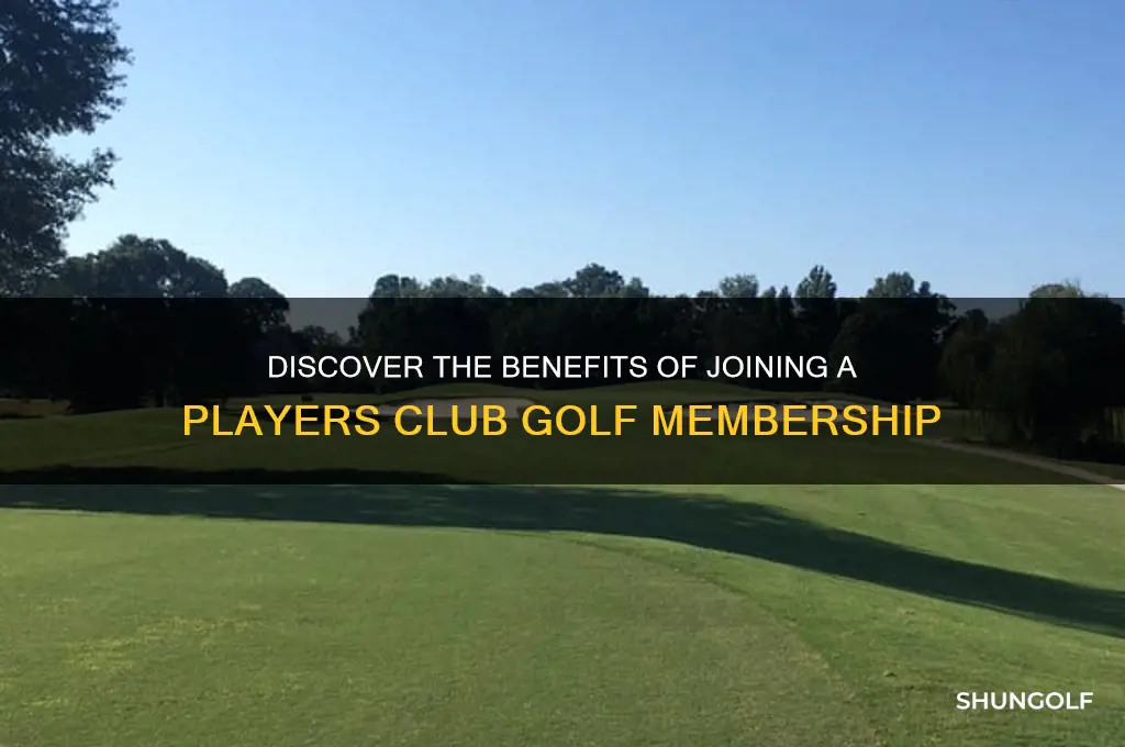 what is a players club golf