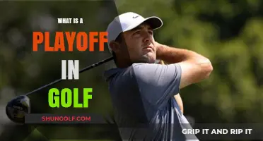 Golf Playoffs: Sudden-Death Drama