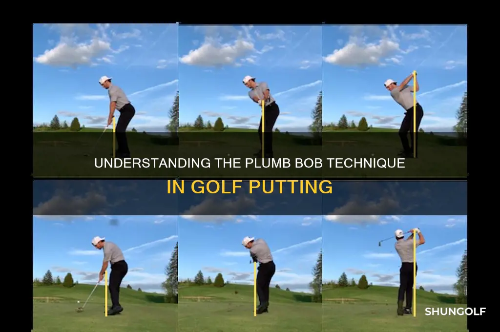 what is a plumb bob in golf