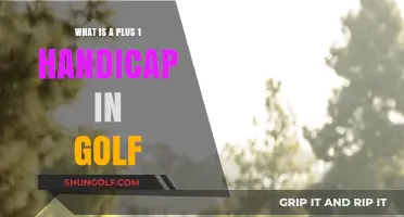 Understanding the Plus 1 Handicap in Golf: A Beginner's Guide