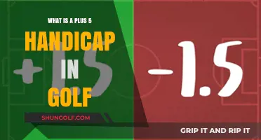 Understanding the Plus 5 Handicap in Golf: A Beginner's Guide