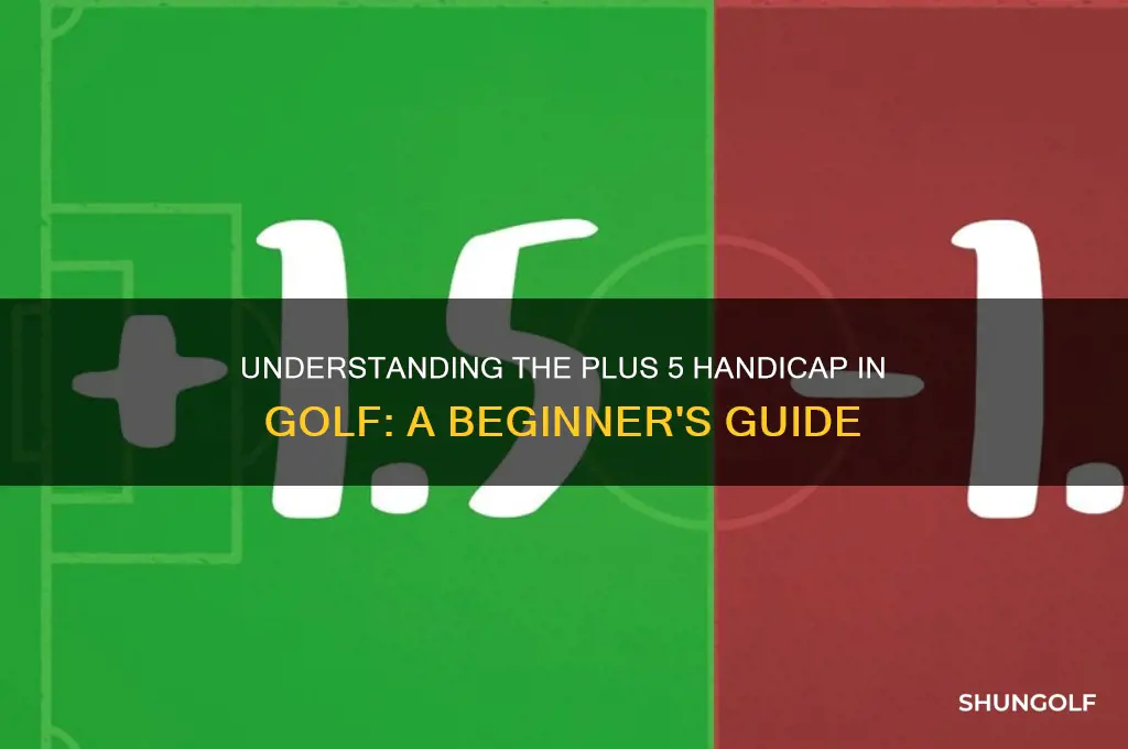 what is a plus 5 handicap in golf