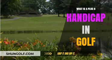 Understanding the Plus 6 Handicap in Golf: A Beginner's Guide