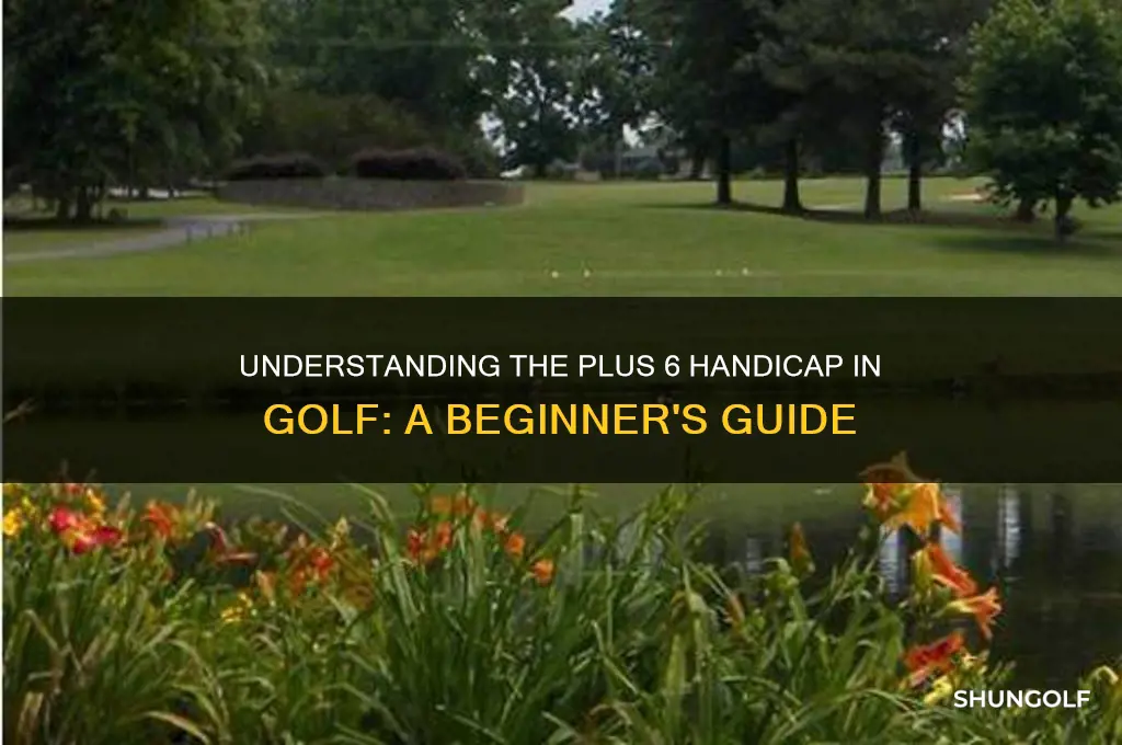 what is a plus 6 handicap in golf