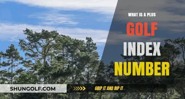 Understanding Your Plus Golf Index Number: A Comprehensive Guide