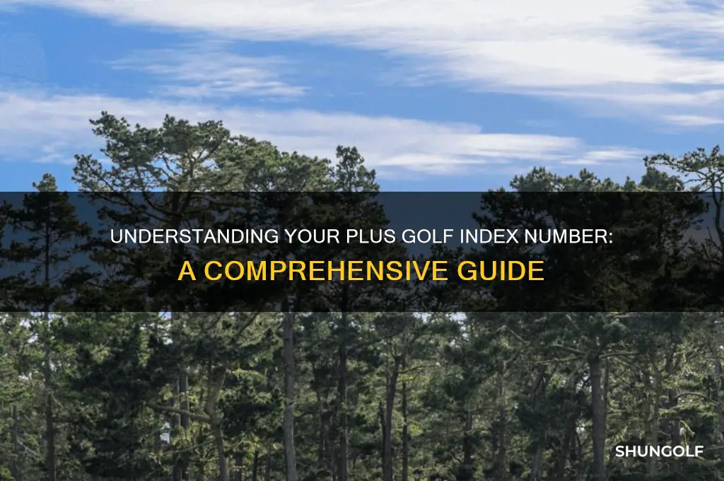 what is a plus golf index number