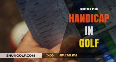Understanding the Plus Handicap in Golf: A Beginner's Guide