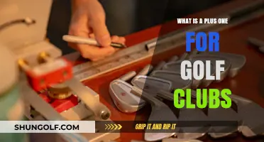 Understanding the Plus One Concept in Golf Club Fitting