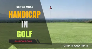Understanding Golf's Point 4 Handicap: Definition, Benefits, and Scoring Tips
