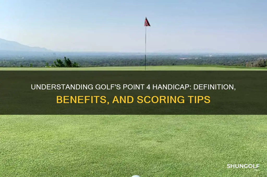 what is a point 4 handicap in golf