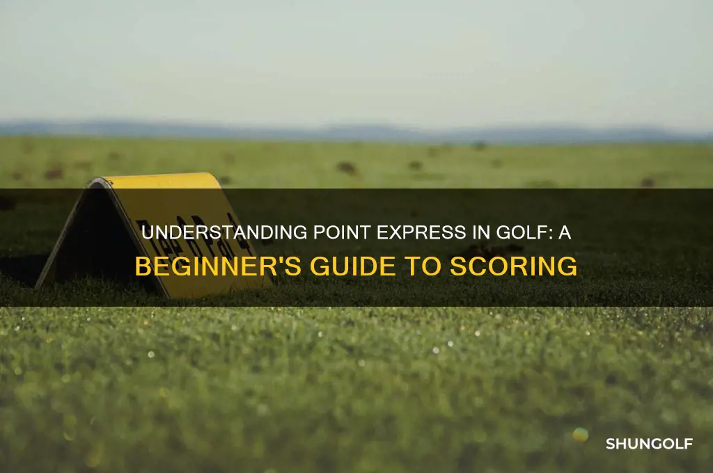 what is a point express in golf