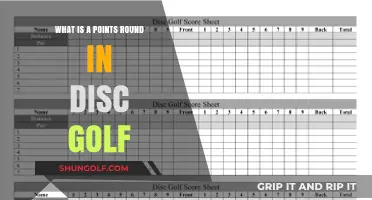 Understanding the Points Round in Disc Golf: A Beginner's Guide