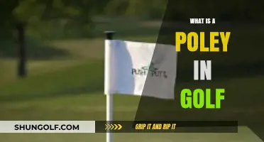Golf's Poley: A Guide to This Unique Course Feature