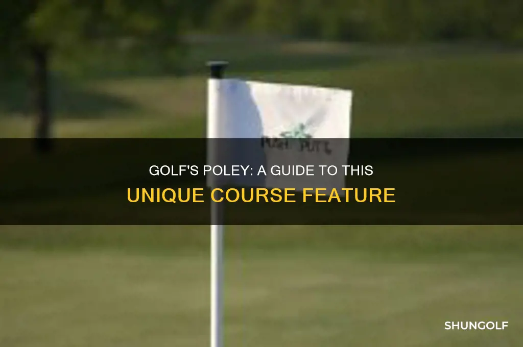 what is a poley in golf