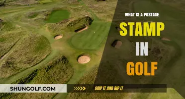 Understanding the Postage Stamp: Golf's Tiniest, Trickiest Green Explained