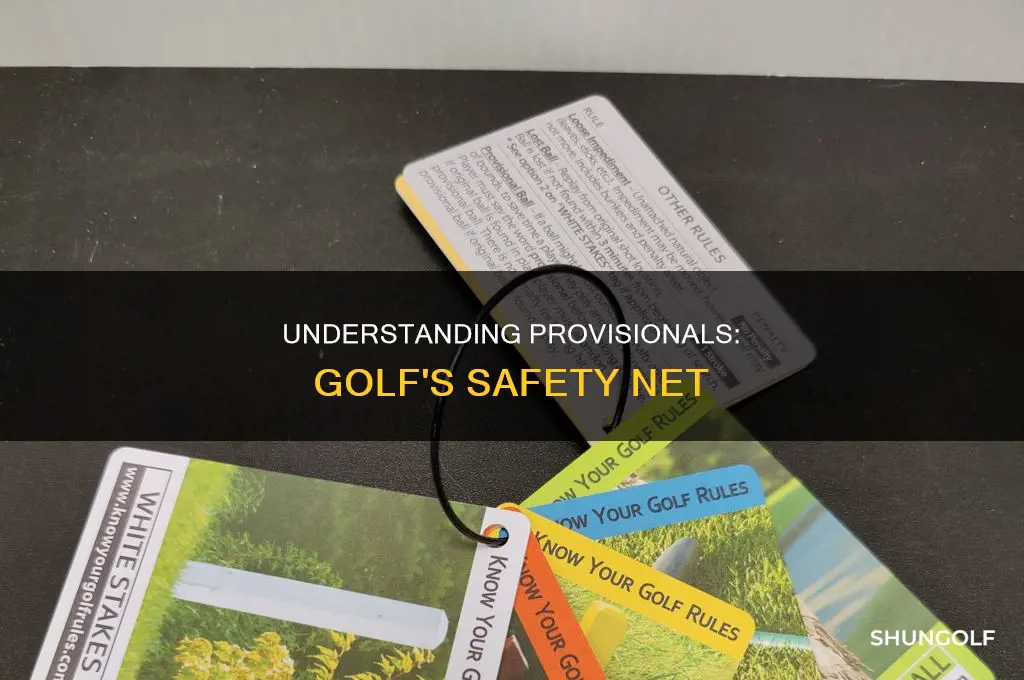 what is a privisional in golf
