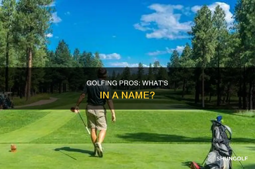what is a pro golfer call
