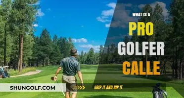 Golfing Pros: What's in a Name?