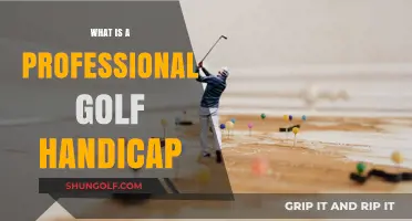 Understanding Professional Golf Handicaps: A Comprehensive Guide for Players