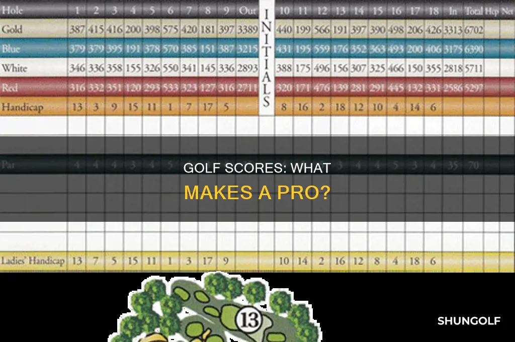 what is a professional golf score