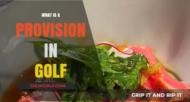 Understanding Golf's Unique 'Provisions