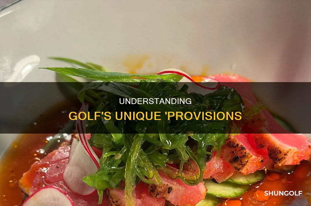 what is a provision in golf