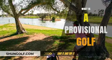 Golf's Provisionals: What, When, and Why