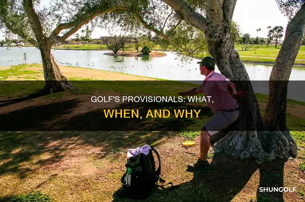 what is a provisional golf