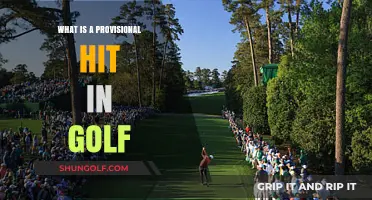 Understanding Provisional Hit Rules in Golf: A Beginner's Guide