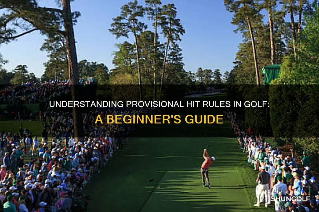 what is a provisional hit in golf