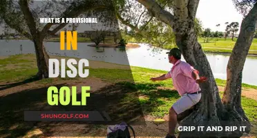 Mastering the Provisional: A Guide to Disc Golf's Tricky Shots