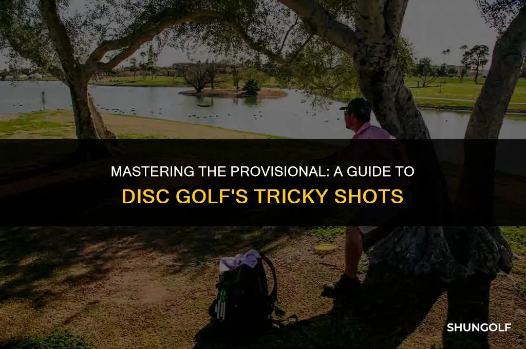 what is a provisional in disc golf