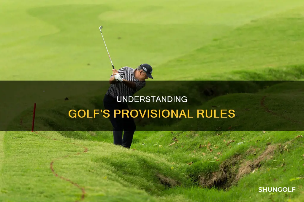 what is a provisional in golf