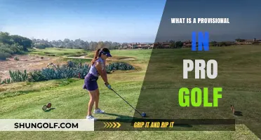 Understanding Provisional Balls in Pro Golf: Rules, Strategy, and Impact