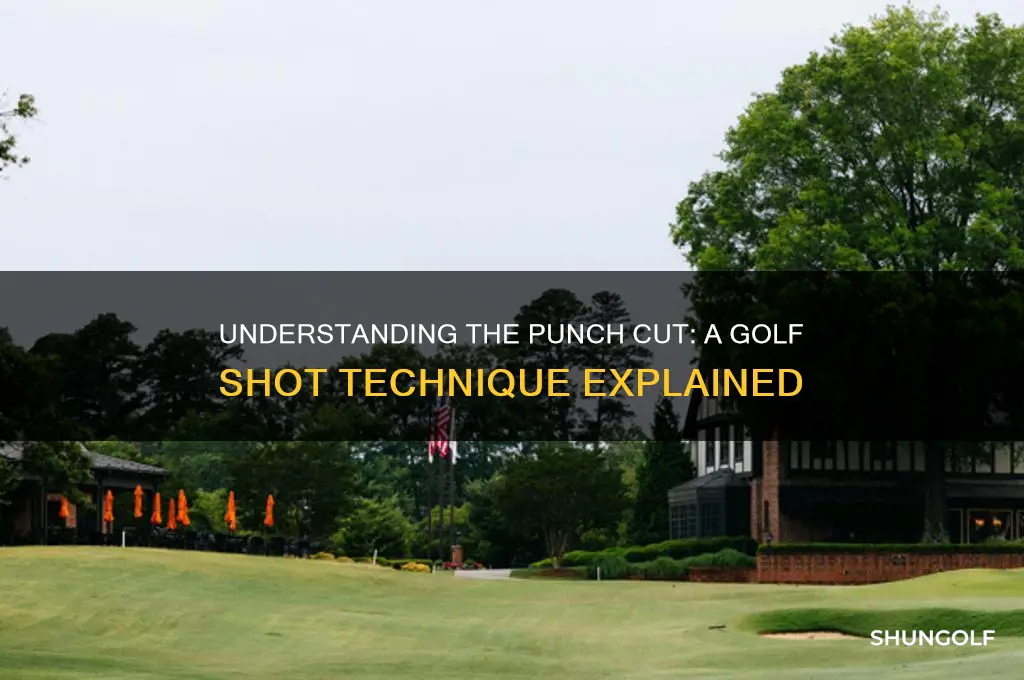 what is a punch cut in golf