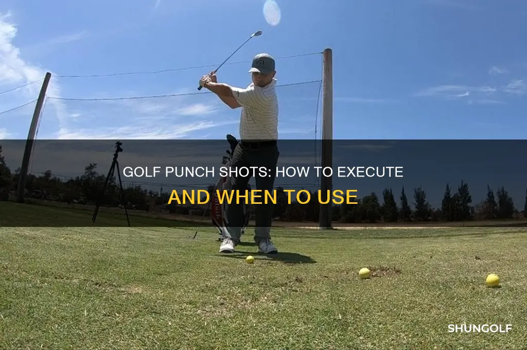 what is a punch in golf