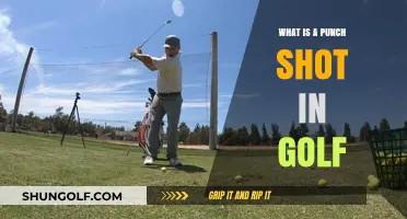 Mastering the Punch Shot: A Golfer's Guide to Precision