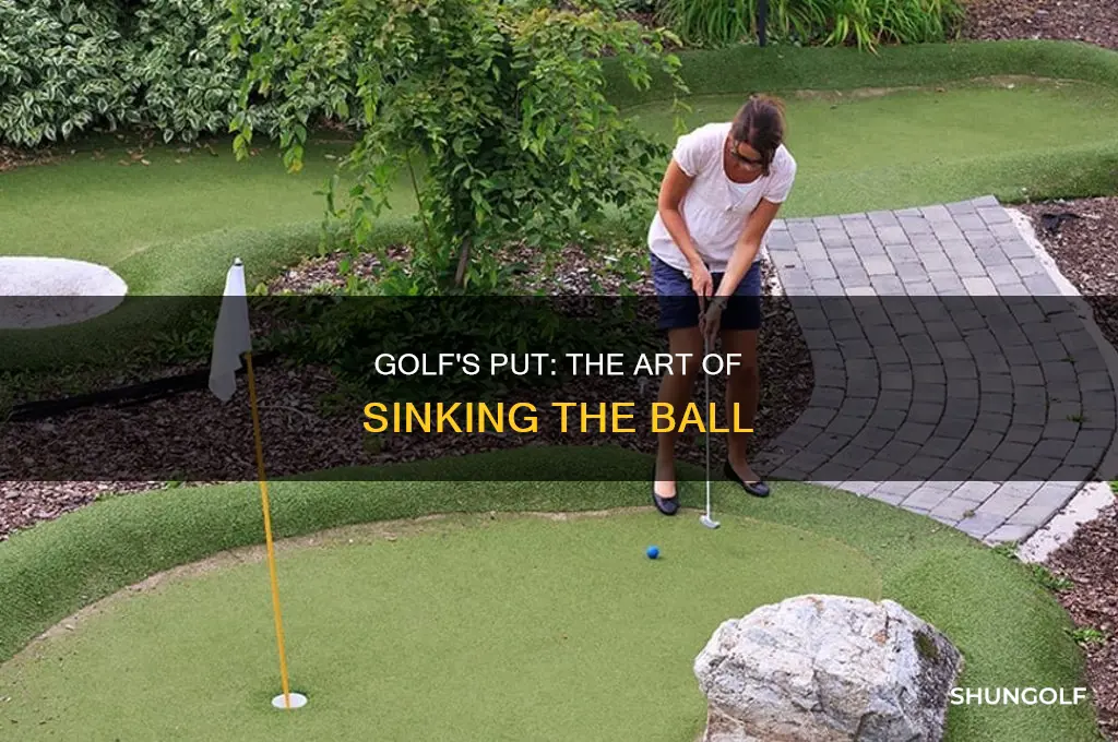 what is a put in golf