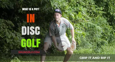 Mastering the Putt: A Beginner's Guide to Disc Golf's Final Shot