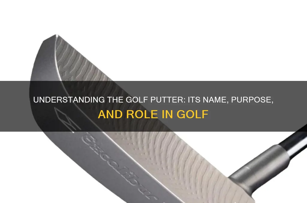 what is a putter called in golf